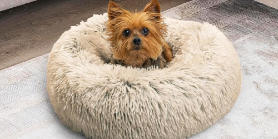 Calming Donut Dog Beds from $11.99 on Amazon | Nearly 59,000 5-Star Ratings