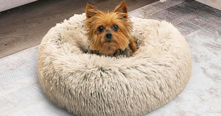 Calming Donut Dog Beds from $11.99 on Amazon | Nearly 59,000 5-Star Ratings