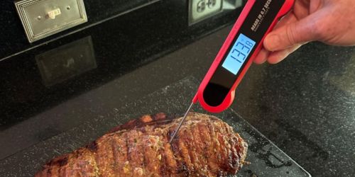 Digital Meat Thermometer Just $9.90 on Amazon | Waterproof w/ Magnetic Back