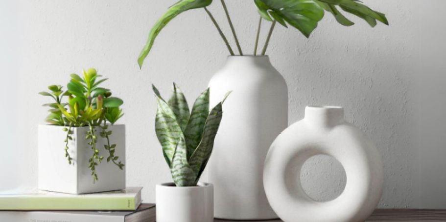 50% Off Home Decor on Target.online | Faux Plants, Vases & More from $2.50