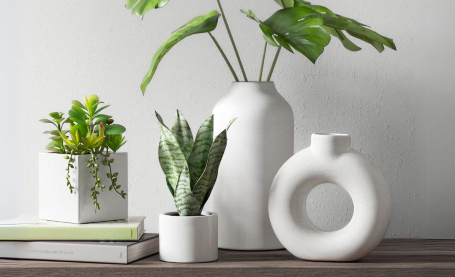 assorted plants in white ceramic vases on a console table