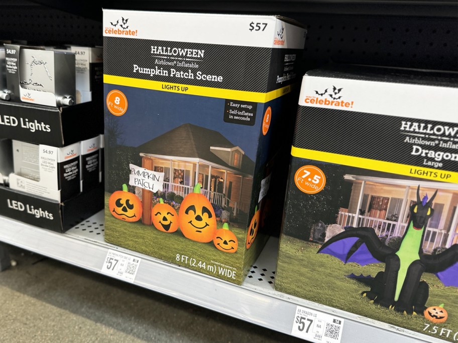 boxes for pumpkins and dragon halloween inflatables on store shelf