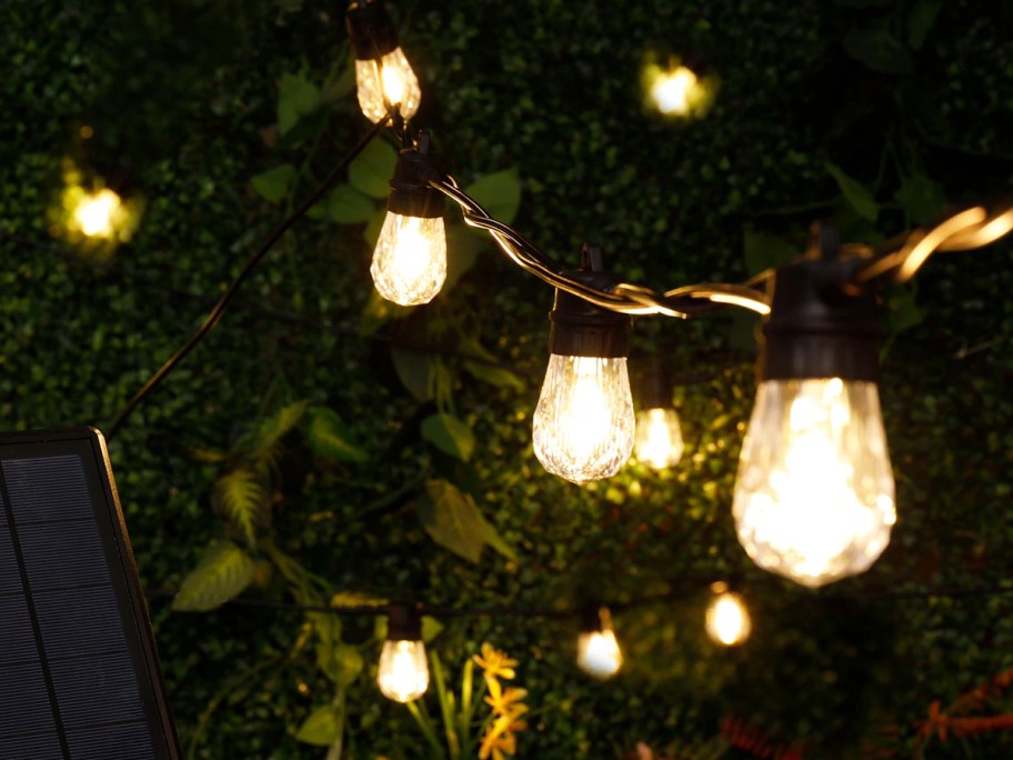 white string lights with black cord in tree