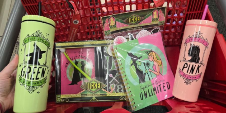 Target Bullseye Playground Finds – Wicked Collection Tumblers, Journals & More JUST $5