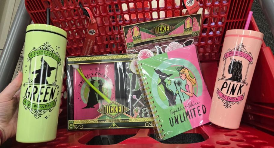 Target Bullseye Playground Finds – Wicked Collection Tumblers, Journals & More JUST $5