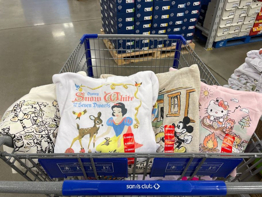 4 womens character hoodies in a sams club shopping cart