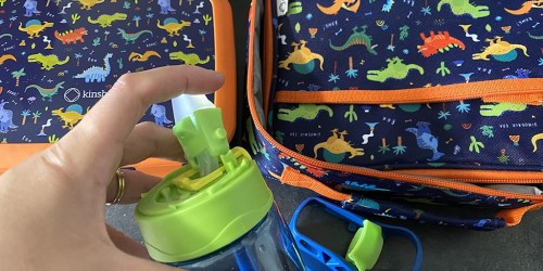 Bento Lunch Box, Water Bottle, & Ice Pack Set Just $14.99 on Amazon (Reg. $36!)