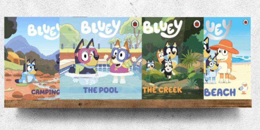 Bluey Boxed Books Set Only $7 on Amazon (Reg. $20) | Includes 4 Books!