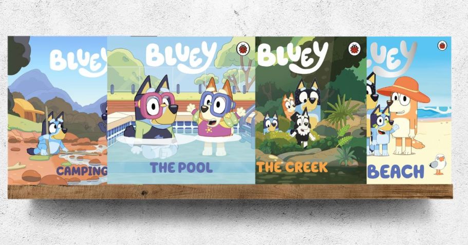 Bluey Boxed Books Set Only $7 on Amazon (Reg. $20) | Includes 4 Books!