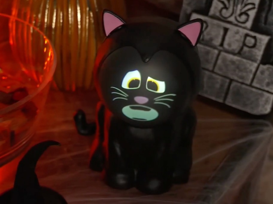 animated projector cat in dark