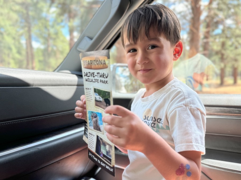 boy holding bearizona pamphlet