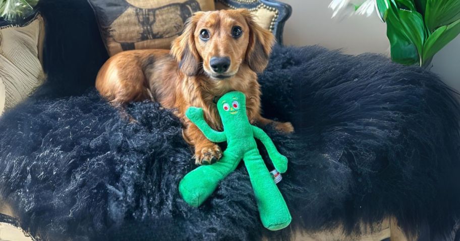 dog holding Multipet Gumby 9" Plush Squeak Dog Toy