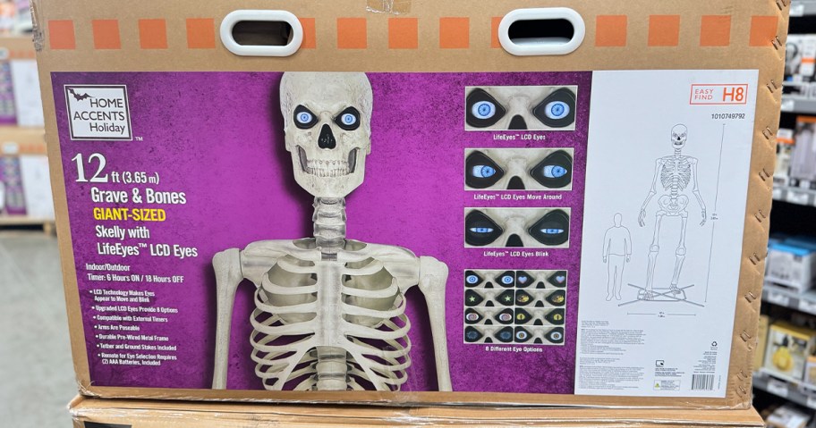 home depot skeleton in box