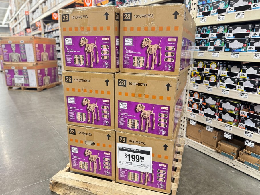 halloween skeleton dog boxes stacked in home depot