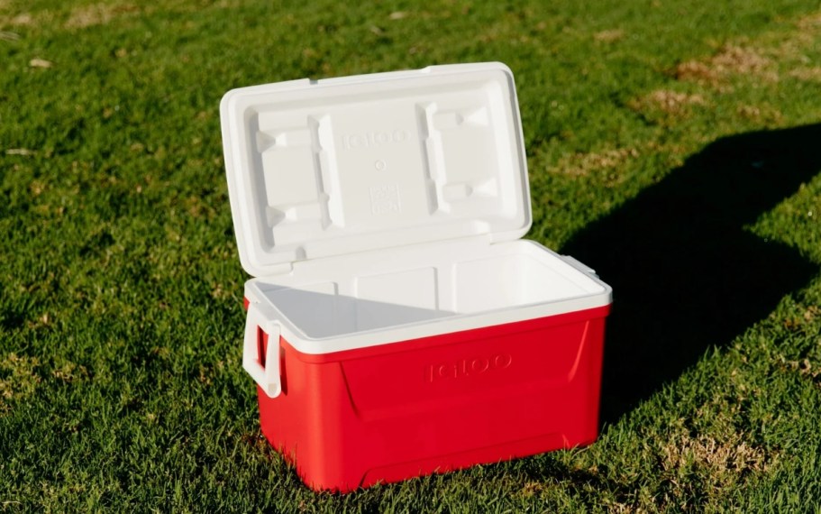 Igloo 48-Quart Hard Side Coolers Only $24.98 on Walmart.online