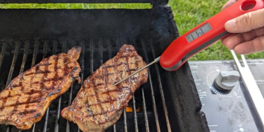 Digital Meat Thermometer Just $7.99 Shipped for Amazon Prime Members | Waterproof w/ Magnetic Back