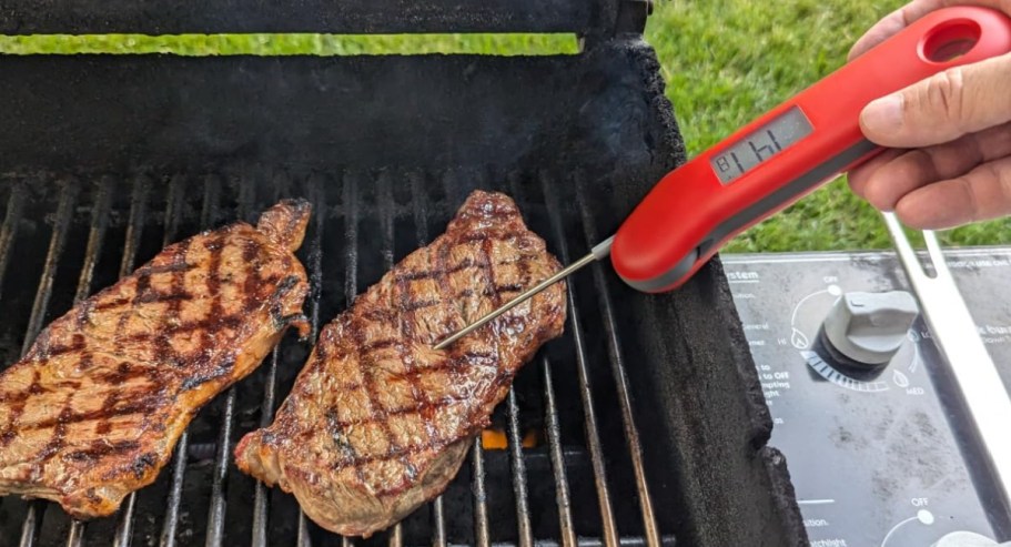 Digital Meat Thermometer Just $7.99  | Waterproof w/ Magnetic Back