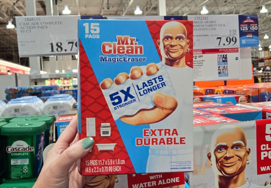 a woman's hand holding a box of Mr clean magic erasers