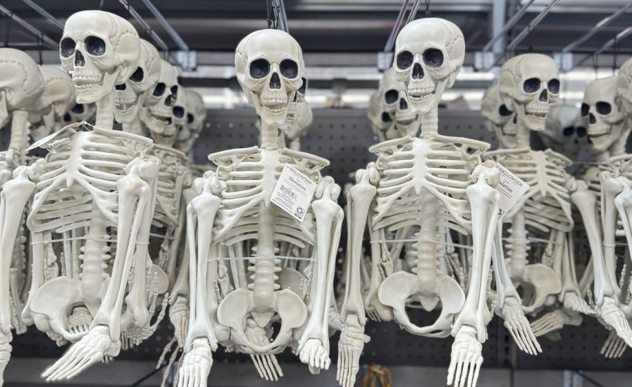 multiple skeleton figures on a store shelf