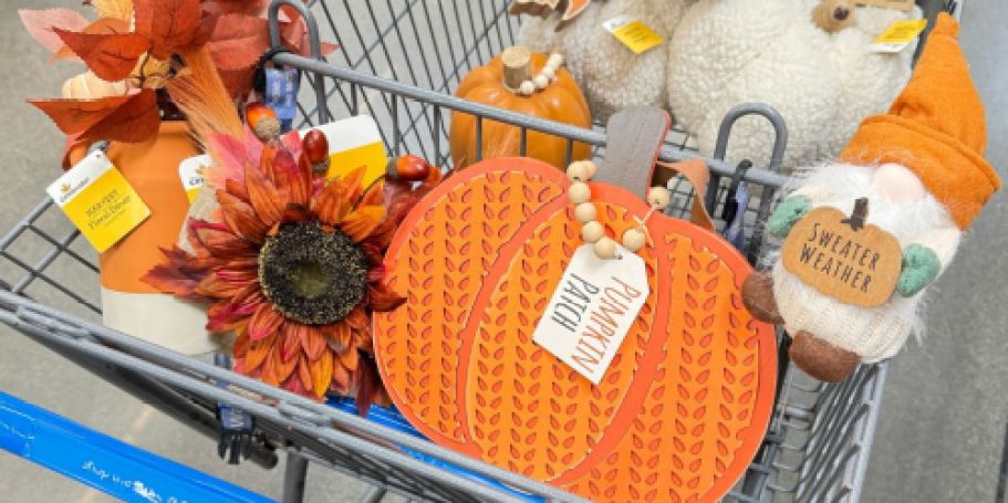 Walmart Fall Decor Items | Autumn-Themed Home Accents from 98¢