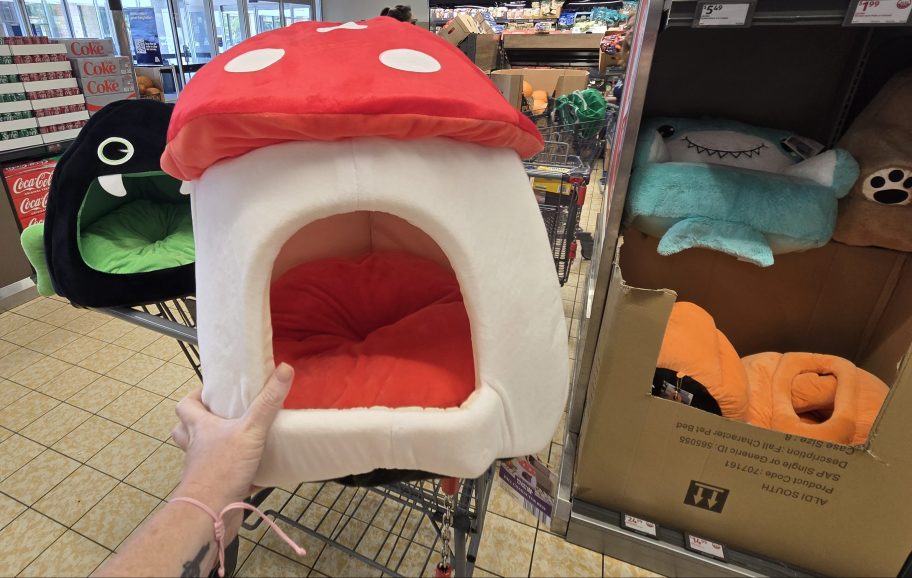 hand holding a red and white mushroom shaped pet bed, orange pumpkin shaped and black and green monster shaped one behind it