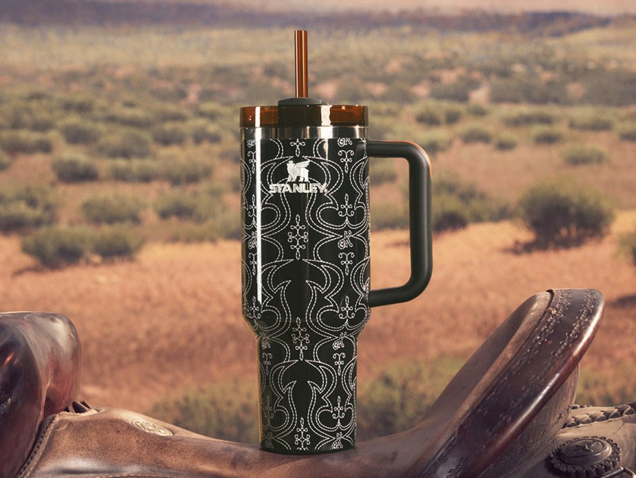 Stanley Barbie Western Ken Tumbler Drops Today at 12 PM EST