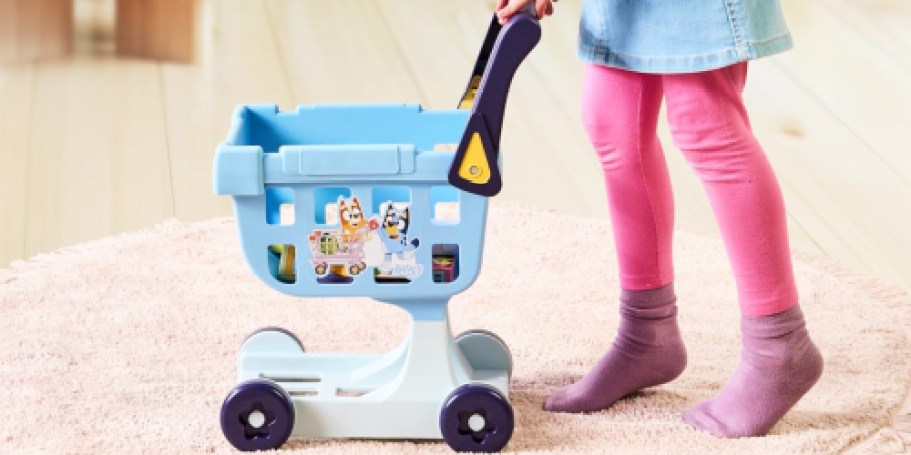 Bluey Shopping Cart w/ Accessories Only $14.99 on Amazon – Lowest Price!