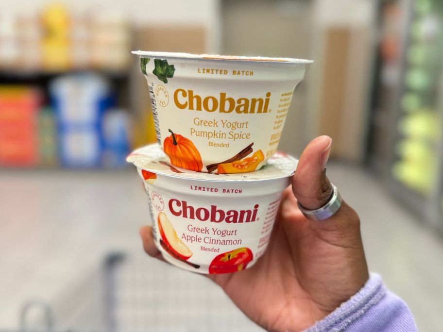 Chobani Greek Yogurt Fall Flavors