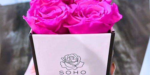 Stunning Preserved Rose Bouquets from $14.99 on Amazon | This Gift Will Last for Years!