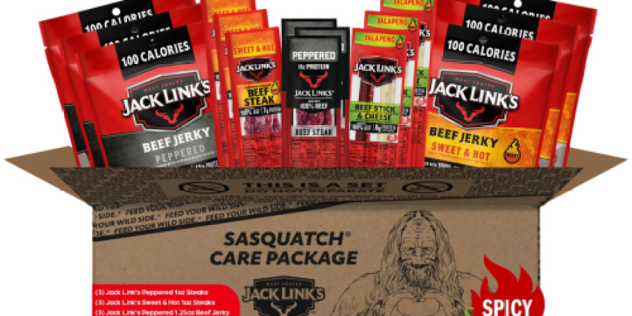 Jack Link’s Spicy Beef Jerky 15-Piece Gift Basket Only $21.88 Shipped on Amazon (Reg. $38)