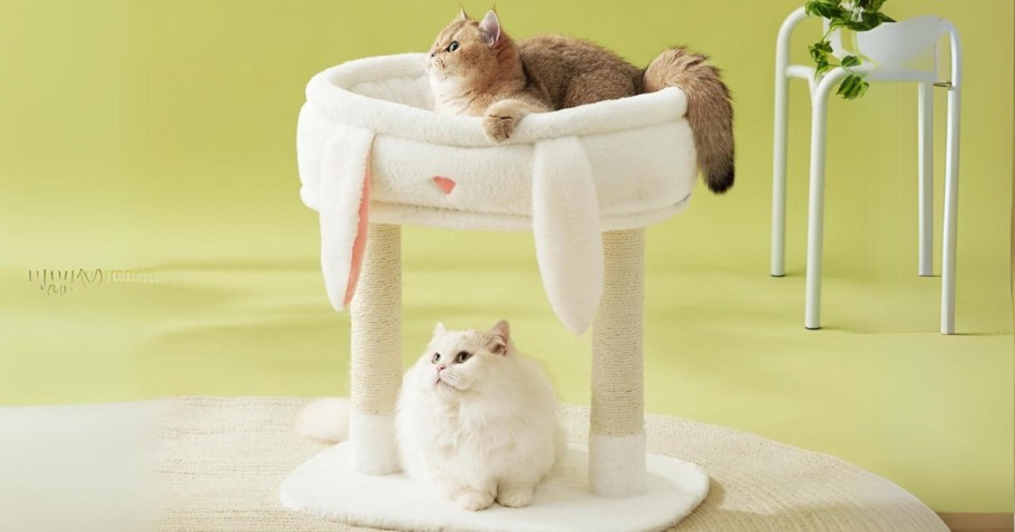 Cat Tree Tower Just $20.99 on Amazon (Reg. $40) | Removable Bed and Scratching Posts