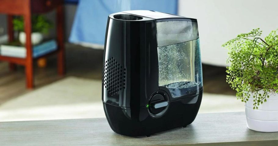 A Mainstays Warm Mist Humidifier on a counter