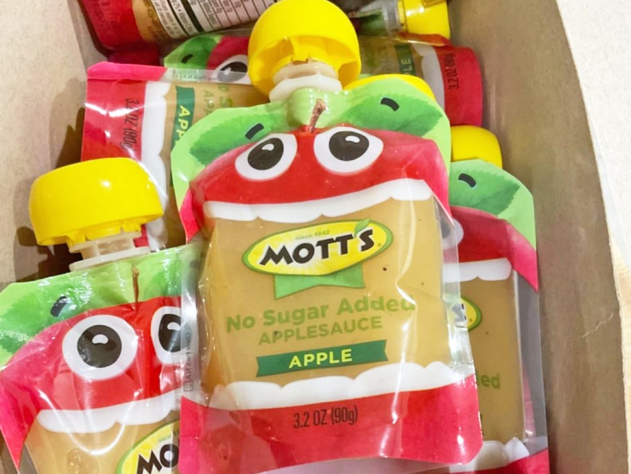 Mott’s Applesauce Pouches 20-Count Only $7.61 Shipped on Amazon (Just 38¢ Each!)