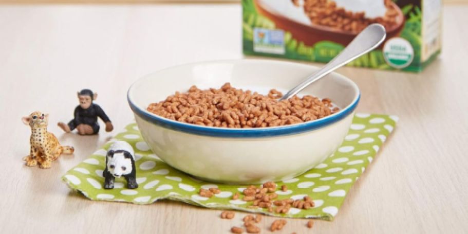 Nature’s Path Koala Crisp Organic Cereal Box JUST $2.53 Shipped on Amazon – Best Price!