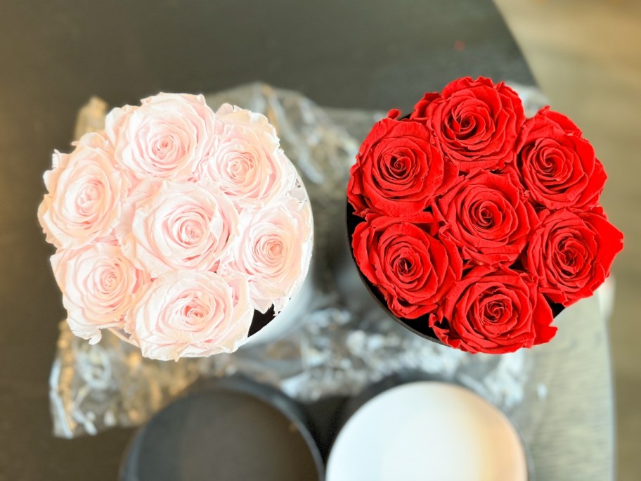 image of the top of 2 boxes of real preserved roses, one light pink, one red