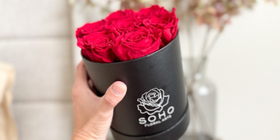 Gorgeous Real Preserved Rose Bouquets from $14.99 on Amazon | Lasts for YEARS + Ready to Gift!