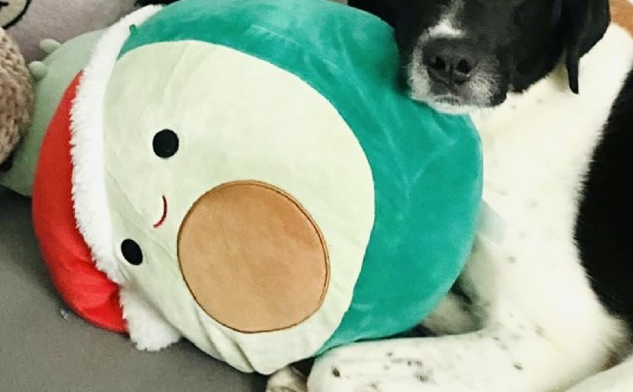 Santa squishmallow avocado with dog