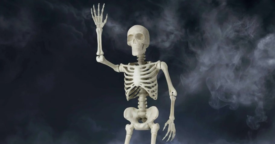 Posable Skeletons from $29.97 on Walmart.online