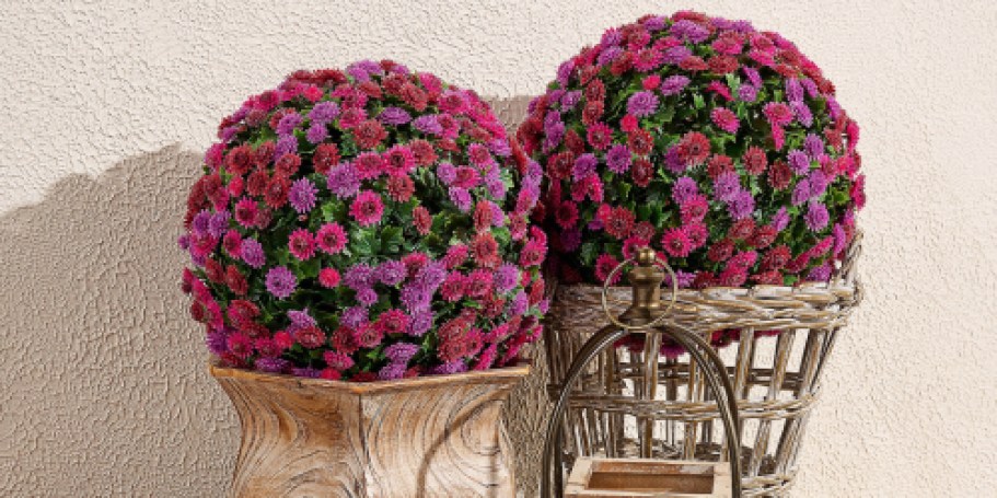 Faux Mum Spheres 2-Pack from $40.48 Shipped (Adds a Quick Burst of Fall Color!)