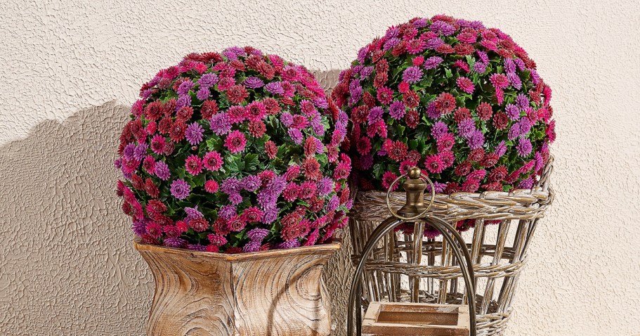 Faux Mum Spheres 2-Pack from $40.48 Shipped (Adds a Quick Burst of Fall Color!)