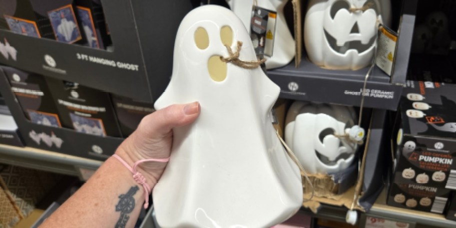 16 New ALDI Weekly Finds | Halloween Decor, Pumpkins, Pet Beds, & More!