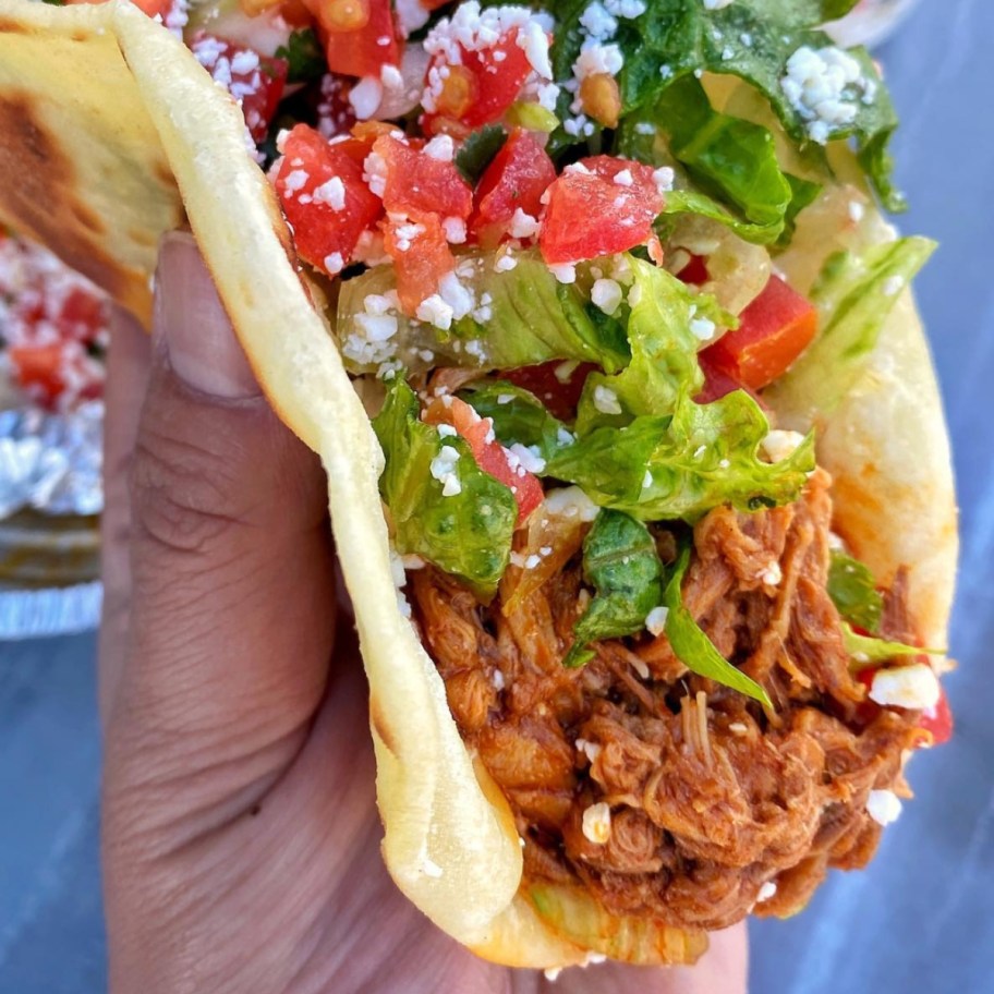 holding a shredded beef taco