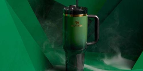 NEW Stanley Limited Edition Wicked Tumblers at Target | Will Sell Out!