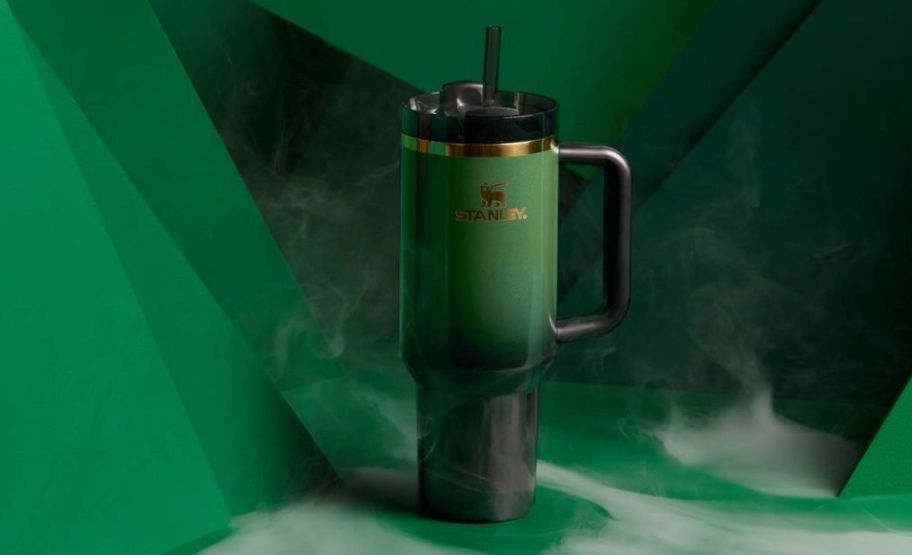 a stanley limited edition 40oz Wicked Elphaba quencher tumbler on a green background