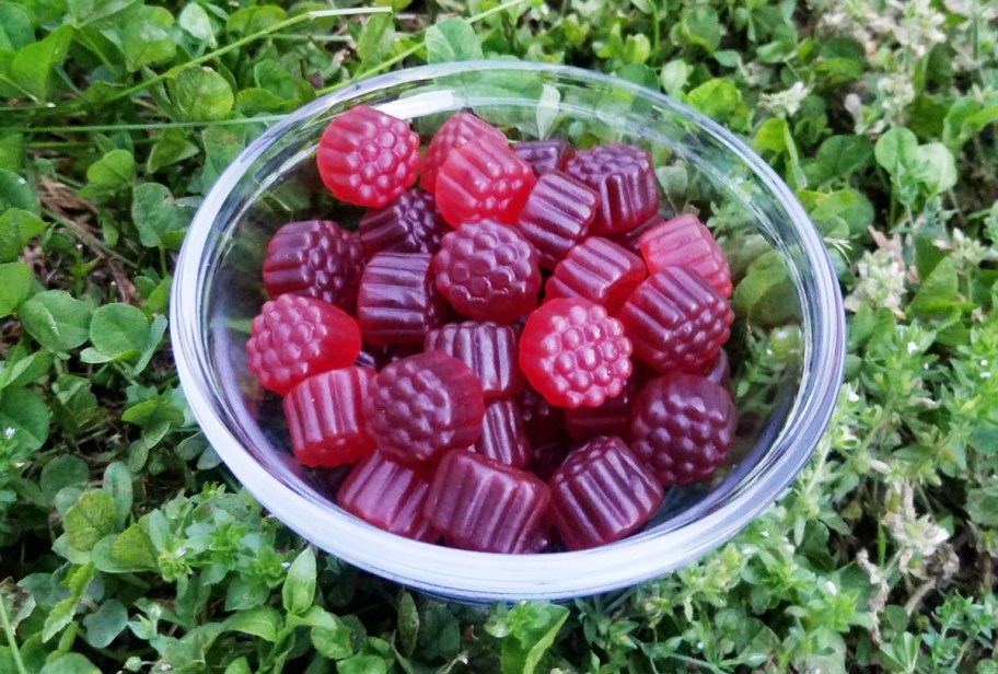 bowl of lunakai elderberry gummies surrounded by greenery