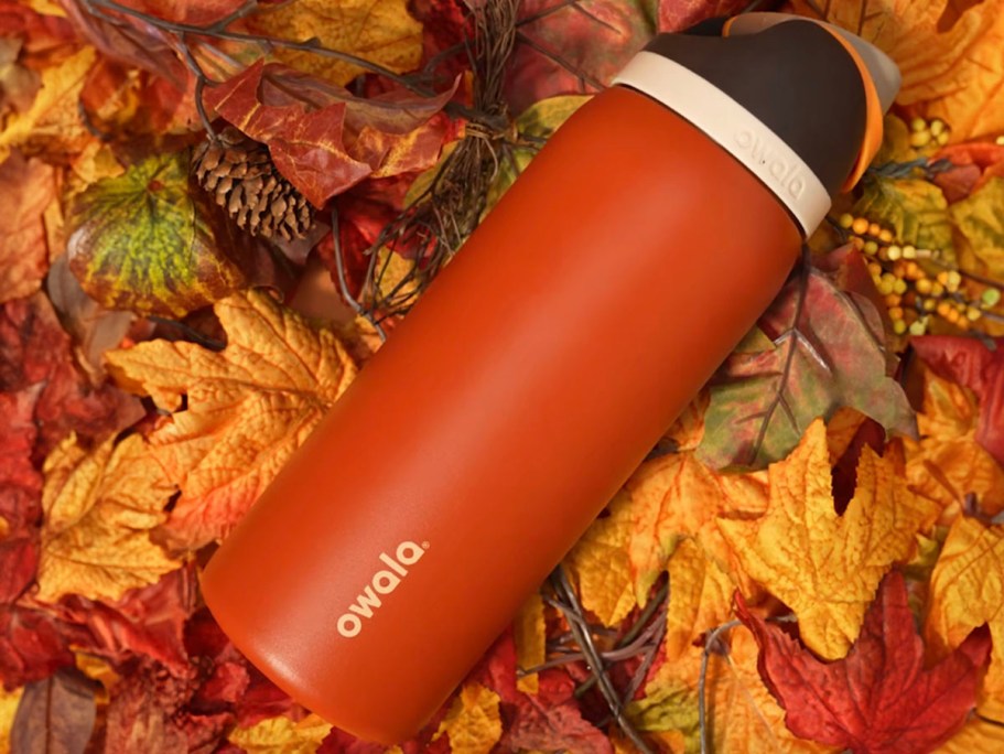 NEW Fall Owala Water Bottles Only $27.99 at Target