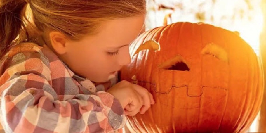 Pumpkin Carving Kit Only $3.99 Shipped (Regularly $10)