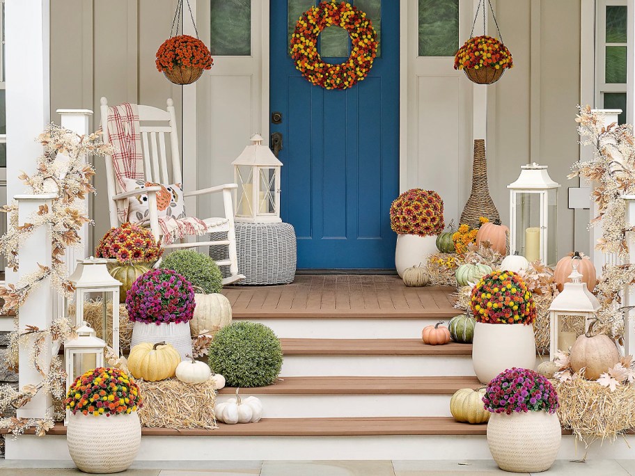 multicolored sphere mums in planters in front of house