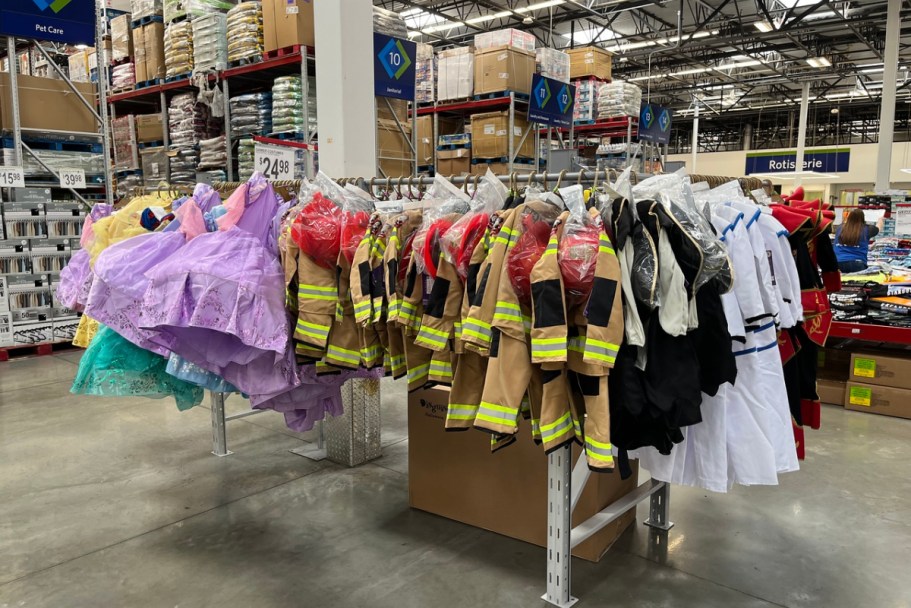 Sam’s Club Halloween Costumes from $13.91 | Marvel, Disney Princess, Harry Potter, & More