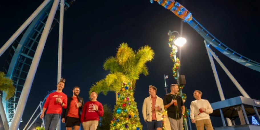 50% Off SeaWorld Tickets (Including Coasters After Dark: Christmas Edition!)